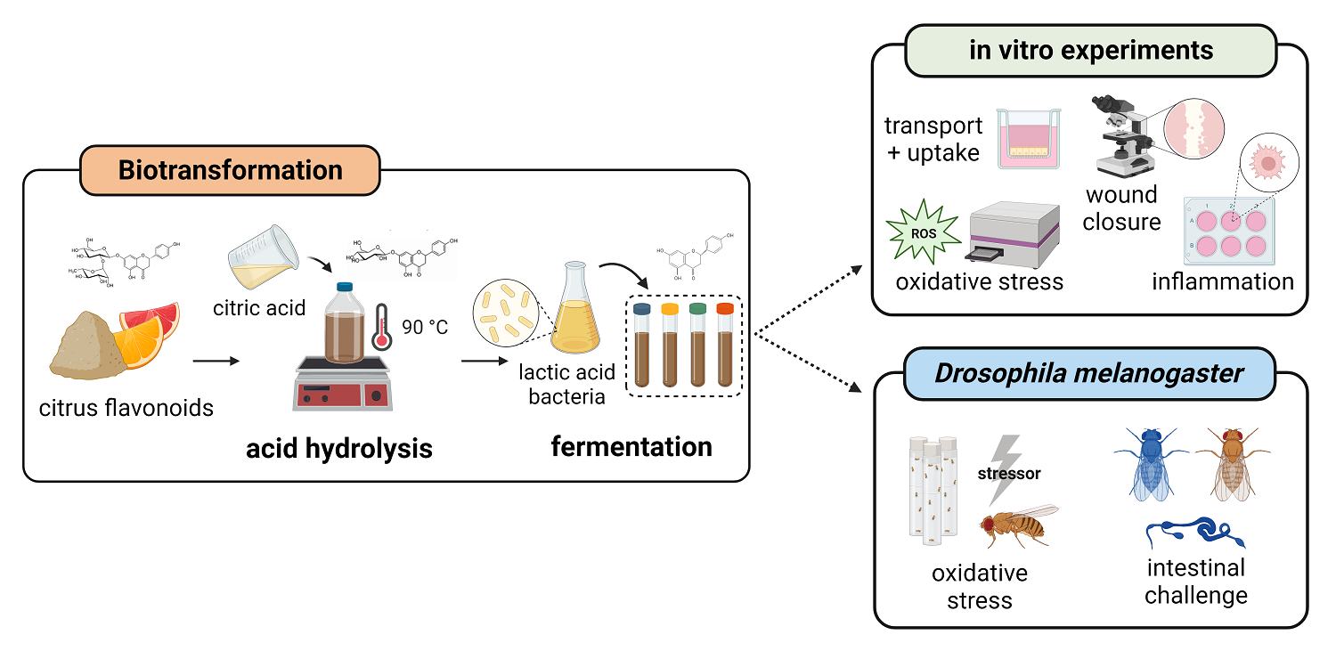 Headerbild Studie Nature Paper
